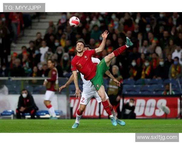 世界杯足球比赛直播精彩进球集锦回顾与分析让我们一起感受激情时刻