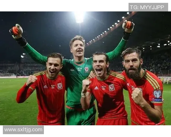 威尔士与爱尔兰比赛前瞻及胜负预测分析详解